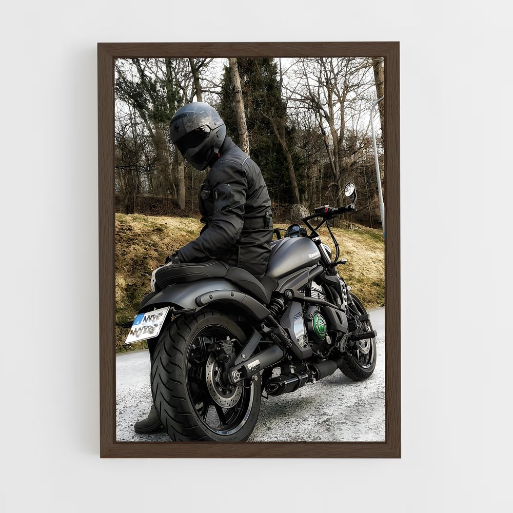 Poster Vulcain mystérieux (vue 5)